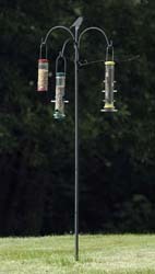 Advanced Pole System