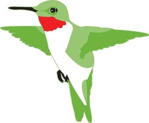 Hummingbird Extravaganza