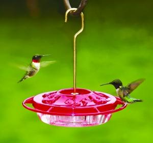 Hummingbirds at Decorative Feeder