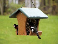 EcoTough™ Classic Too Bird Feeder 